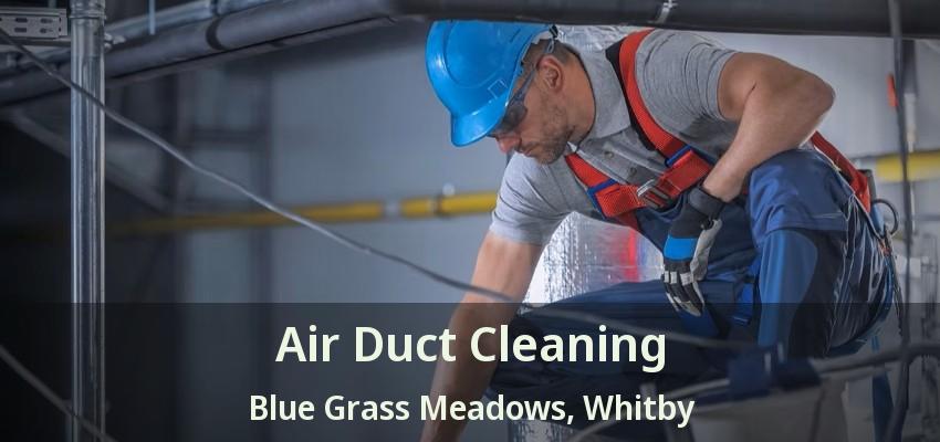 Air Duct Cleaning Blue Grass Meadows, Whitby - ON