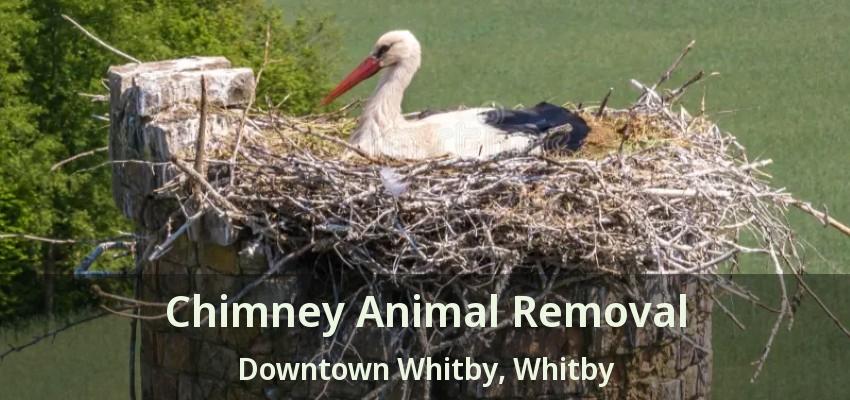 Chimney Animal Removal Downtown Whitby, Whitby - ON