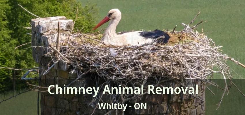 Chimney Animal Removal Whitby - ON