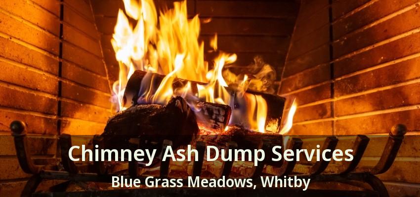 Chimney Ash Dump Services Blue Grass Meadows, Whitby - ON