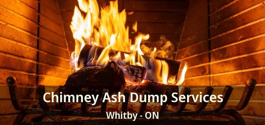 Chimney Ash Dump Services Whitby - ON