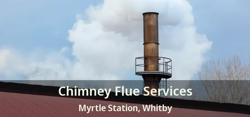 Chimney Flue Services Myrtle Station, Whitby - ON