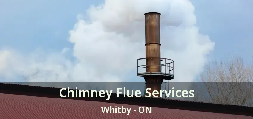 Chimney Flue Services Whitby - ON