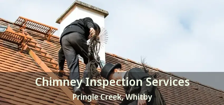 Chimney Inspection Services Pringle Creek, Whitby - ON