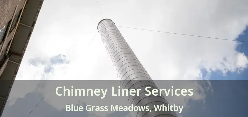 Chimney Liner Services Blue Grass Meadows, Whitby - ON