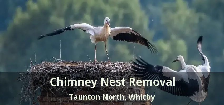Chimney Nest Removal Taunton North, Whitby - ON