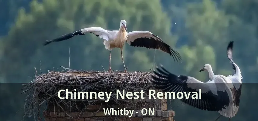 Chimney Nest Removal Whitby - ON