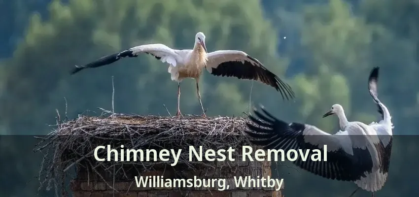 Chimney Nest Removal Williamsburg, Whitby - ON