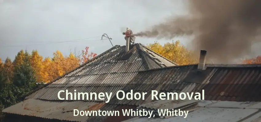 Chimney Odor Removal Downtown Whitby, Whitby - ON