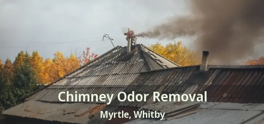 Chimney Odor Removal Myrtle, Whitby - ON