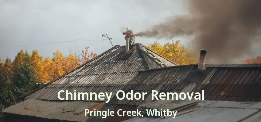 Chimney Odor Removal Pringle Creek, Whitby - ON