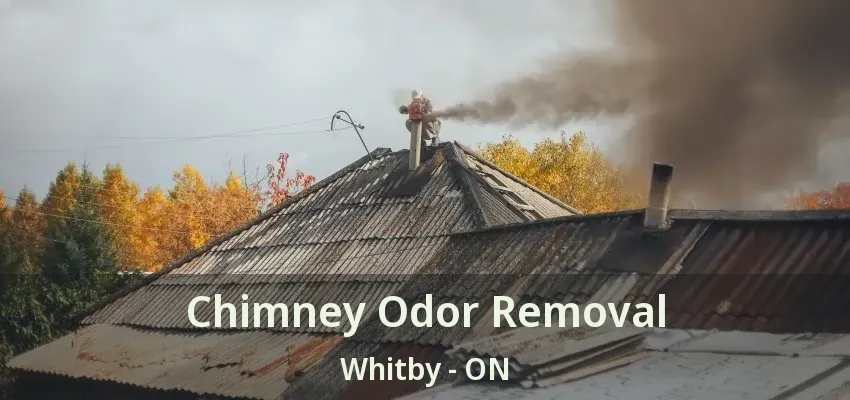 Chimney Odor Removal Whitby - ON
