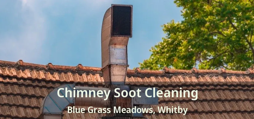 Chimney Soot Cleaning Blue Grass Meadows, Whitby - ON