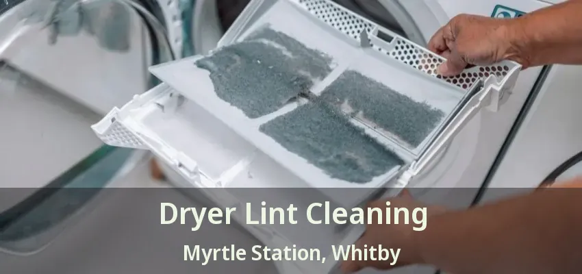 Dryer Lint Cleaning Myrtle Station, Whitby - ON