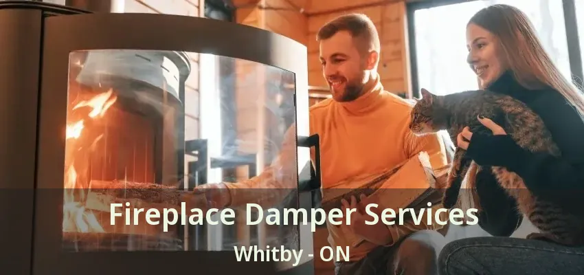Fireplace Damper Services Whitby - ON