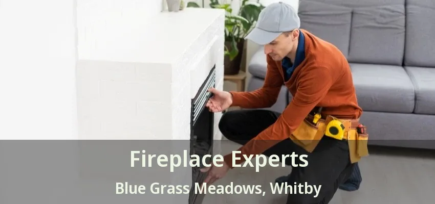 Fireplace Experts Blue Grass Meadows, Whitby - ON