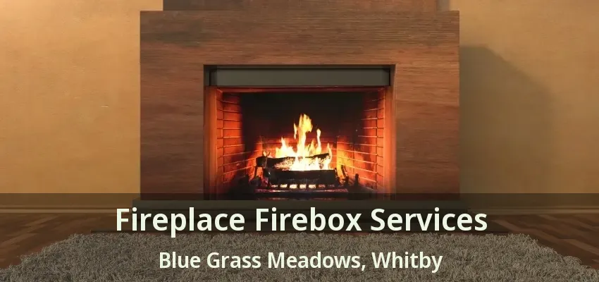 Fireplace Firebox Services Blue Grass Meadows, Whitby - ON