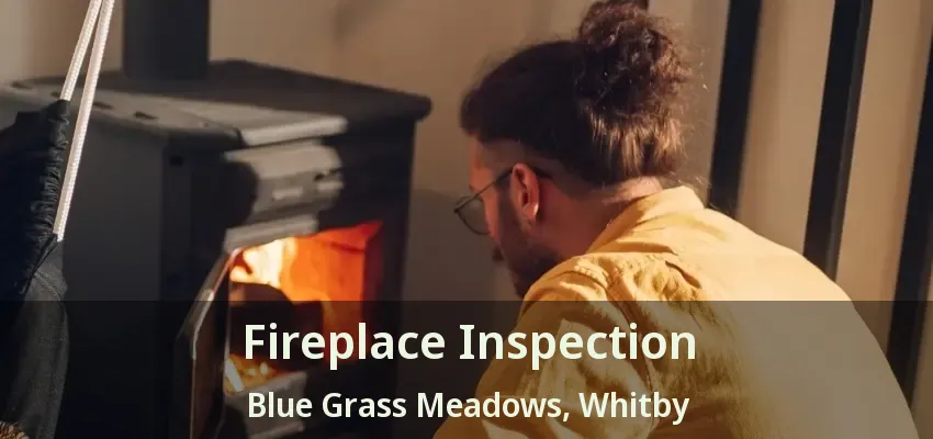 Fireplace Inspection Blue Grass Meadows, Whitby - ON