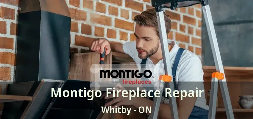 Montigo Fireplace Repair Whitby - ON