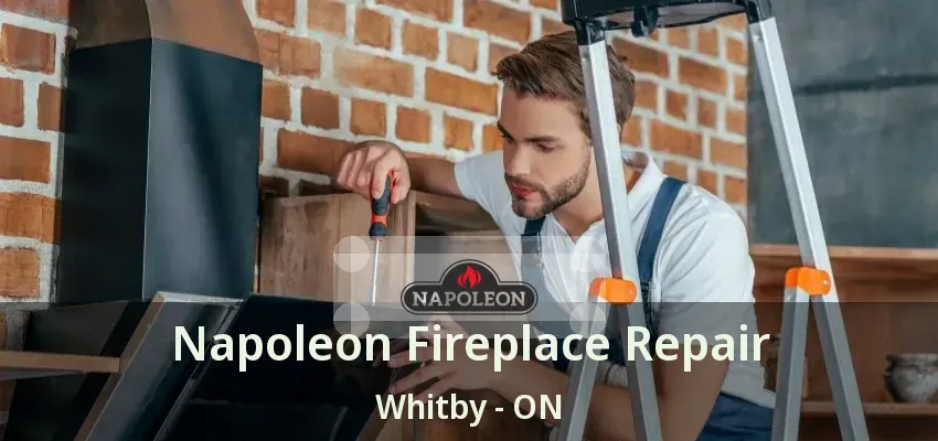 Napoleon Fireplace Repair Whitby - ON