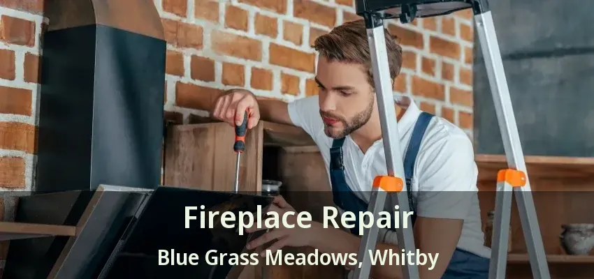 Fireplace Repair Blue Grass Meadows, Whitby - ON