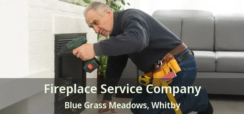 Fireplace Service Company Blue Grass Meadows, Whitby - ON