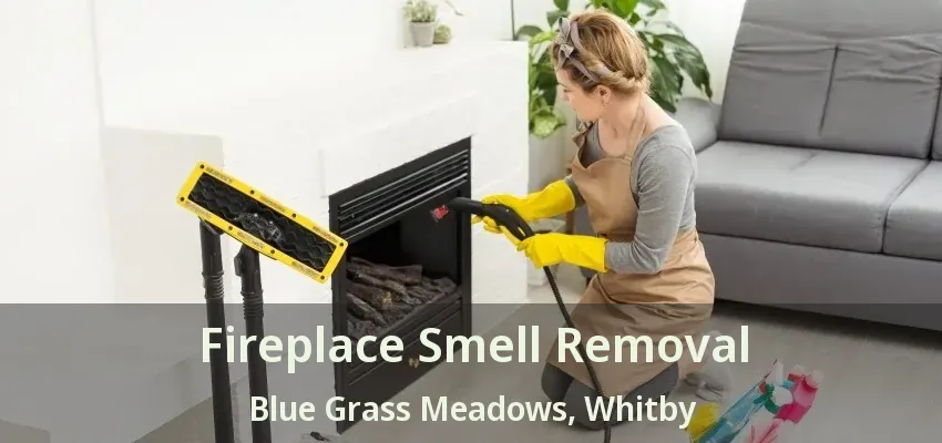 Fireplace Smell Removal Blue Grass Meadows, Whitby - ON