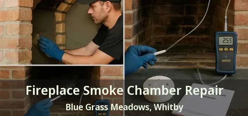 Fireplace Smoke Chamber Repair Blue Grass Meadows, Whitby - ON
