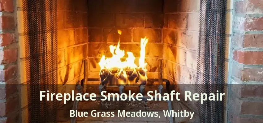 Fireplace Smoke Shaft Repair Blue Grass Meadows, Whitby - ON