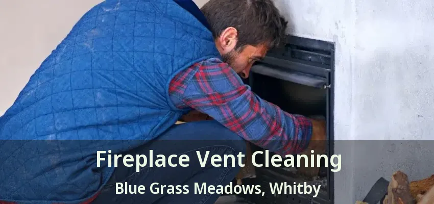 Fireplace Vent Cleaning Blue Grass Meadows, Whitby - ON