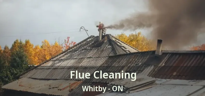 Flue Cleaning Whitby - ON