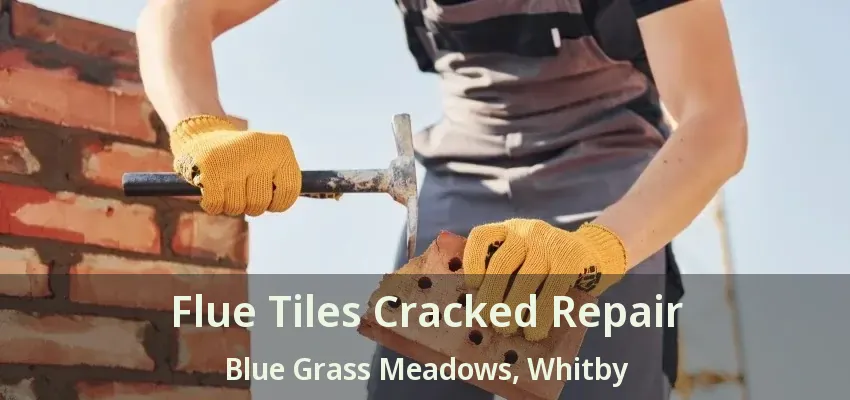 Flue Tiles Cracked Repair Blue Grass Meadows, Whitby - ON