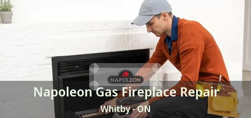 Napoleon Gas Fireplace Repair Whitby - ON