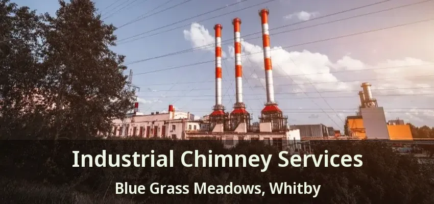Industrial Chimney Services Blue Grass Meadows, Whitby - ON
