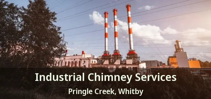 Industrial Chimney Services Pringle Creek, Whitby - ON