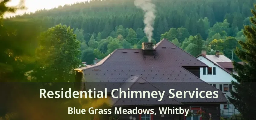 Residential Chimney Services Blue Grass Meadows, Whitby - ON