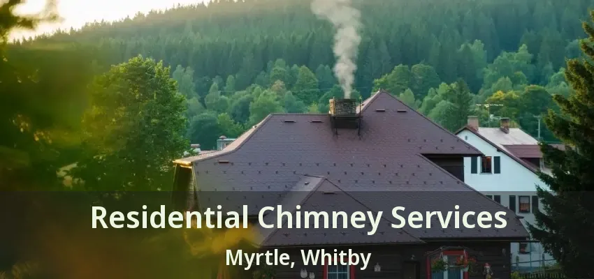 Residential Chimney Services Myrtle, Whitby - ON