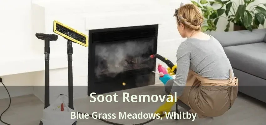 Soot Removal Blue Grass Meadows, Whitby - ON