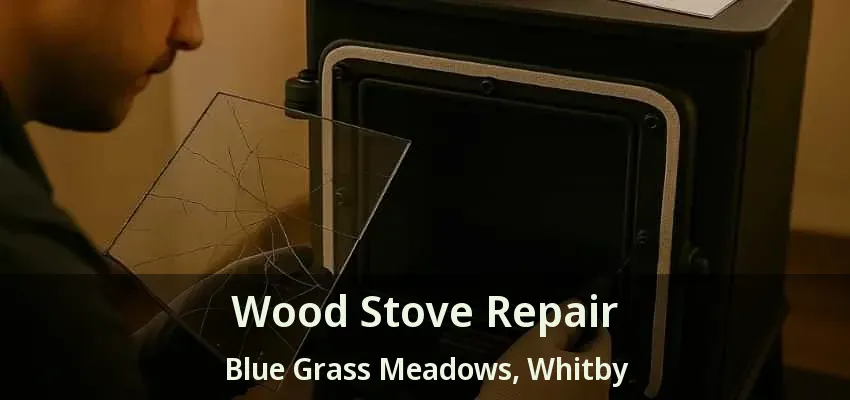 Wood Stove Repair Blue Grass Meadows, Whitby - ON