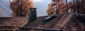 Chimney Animal Removal Whitby