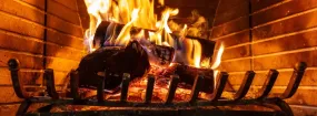 Fireplace Damper Services Whitby