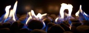 Gas Fireplace Embers Whitby